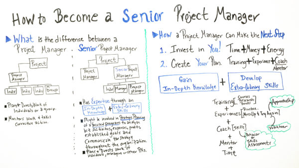 becoming a senior project manager